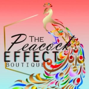 EVERYTHING IN THE CLOSET